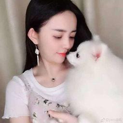 网红 yero鱼哥,揭秘网络红人的魅力与影响力